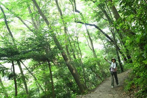 山登り♪