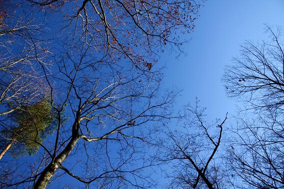 贅沢な時間♪PICA富士吉田♪