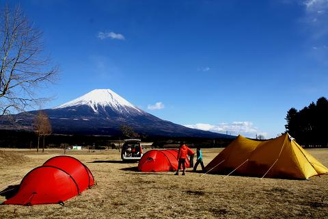 2012の思い出♪やまぼうし♪