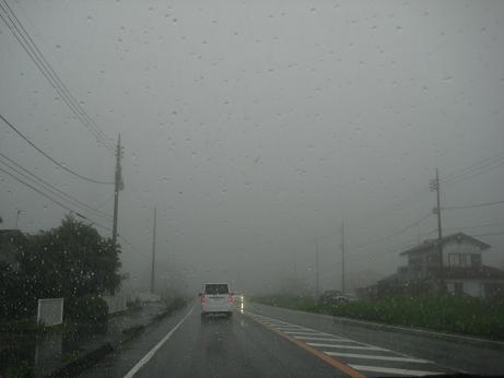 天気予報を信じるんだ♪西湖自由キャンプ場♪
