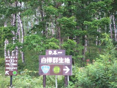 車山高原を歩こう♪駒出池キャンプ場♪