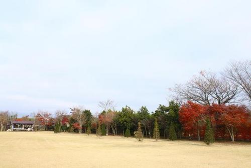 やまぼうしオートキャンプ場②