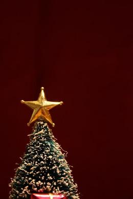 komaキムチ&X’mas
