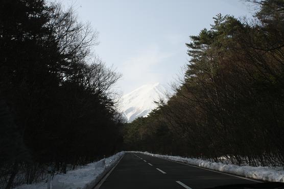 サイトまでの長い道程・・・( ̄、 ̄;)ゞ