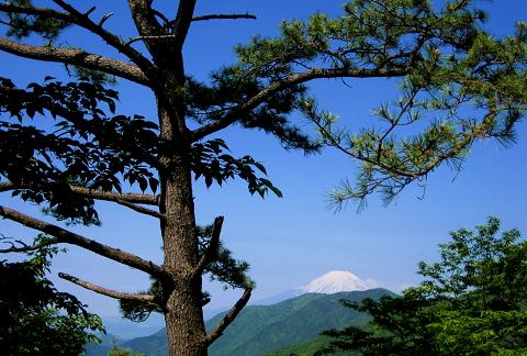 塔ノ岳を歩こう♪