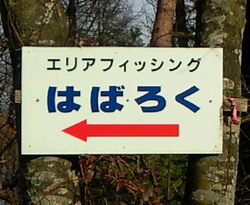 『はばろく』にて