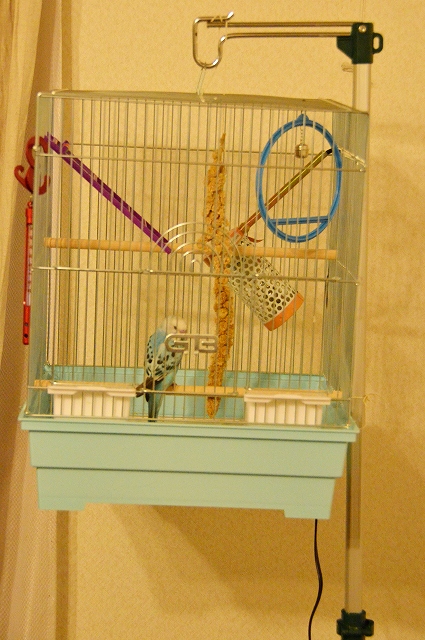 新しい家族です!☆