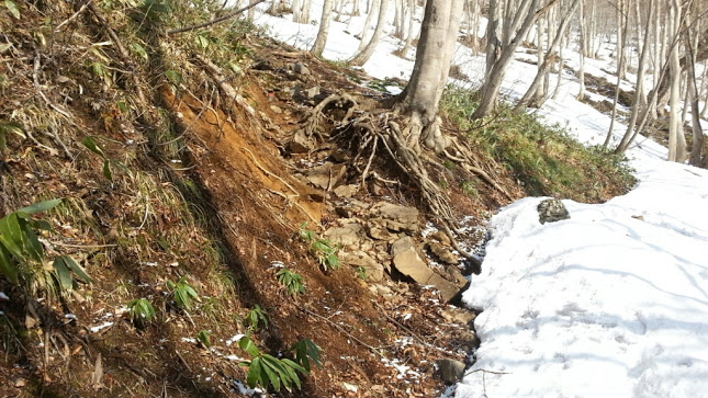 谷川岳へ雪山登山~♪