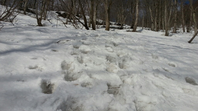 谷川岳へ雪山登山~♪