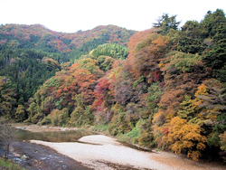 紅葉の八ッ場あがつま湖&NAPiキャンプ 紅葉の八ッ場あがつま湖&NAPiキャンプ