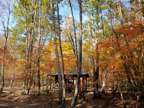 紅葉の八ッ場あがつま湖&NAPiキャンプ 紅葉の八ッ場あがつま湖&NAPiキャンプ