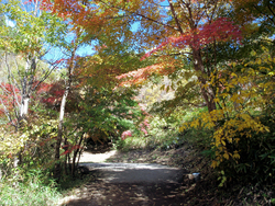 紅葉の八ッ場あがつま湖&NAPiキャンプ 紅葉の八ッ場あがつま湖&NAPiキャンプ