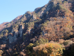 紅葉の八ッ場あがつま湖&NAPiキャンプ 紅葉の八ッ場あがつま湖&NAPiキャンプ