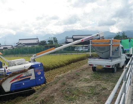 秋の空 収穫祭 秋の空 収穫祭