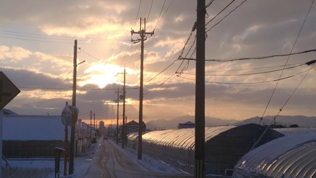 春を待つ。 春を待つ。