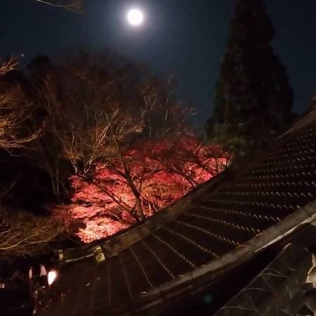 石山寺 スーパームーン 石山寺 スーパームーン