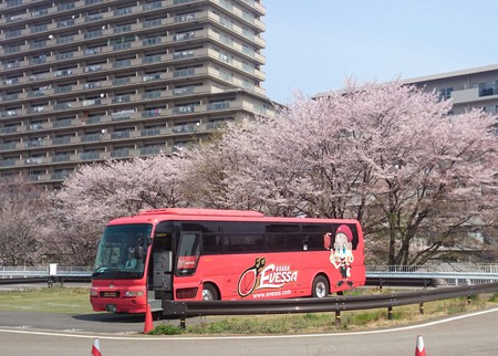 さくらの花見と 大阪エベッサ さくらの花見と 大阪エベッサ