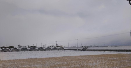 大雪の中、いざ出陣 大雪の中、いざ出陣