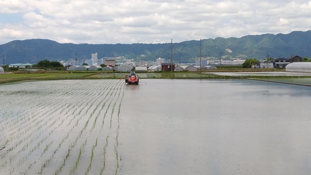 農聖か、、 農聖か、、