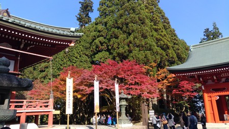 比叡のやま 比叡のやま