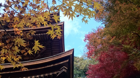 湖東三山 金剛輪寺 湖東三山 金剛輪寺