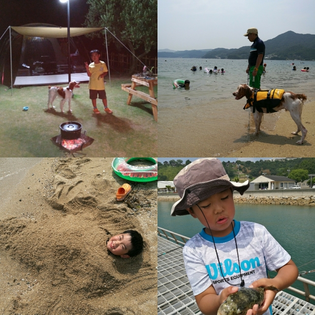 真夏の小豆島キャンプ