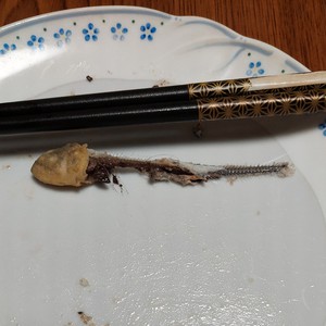 よくあるはなし よくあるはなし