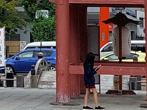 赤だしがしみる 赤だしがしみる