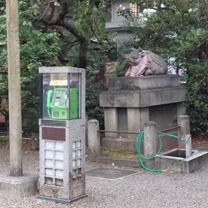 ナイトゲーム ナイトゲーム