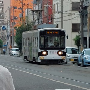 まむし まむし