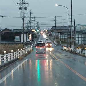 冬の雨 冬の雨