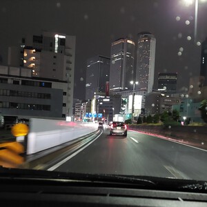 冬の雨 冬の雨