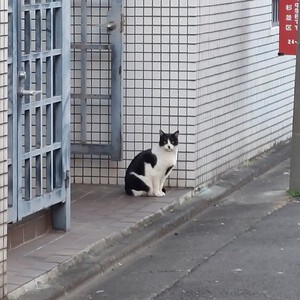 中野から荻窪 中野から荻窪