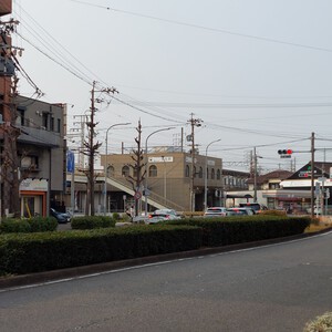 牛島町から亀島 牛島町から亀島