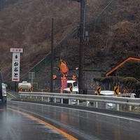 神代桜 神代桜
