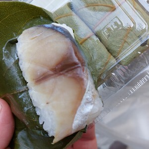 一目千本! 一目千本!