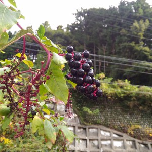 これ位空いててほしい これ位空いててほしい