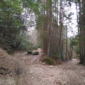 里山探索 里山探索