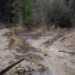 里山探索 里山探索