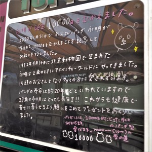 活発なリアル客寄せパンダに引き寄せられて 活発なリアル客寄せパンダに引き寄せられて