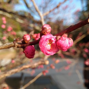 日々の営み 日々の営み