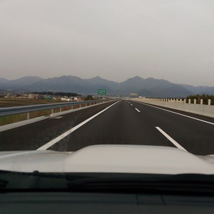 狐につままれたような 狐につままれたような