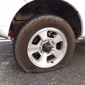狐につままれたような 狐につままれたような