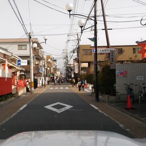 化かし合い? 化かし合い?