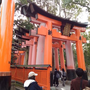化かし合い? 化かし合い?