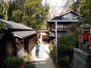 化かし合い? 化かし合い?