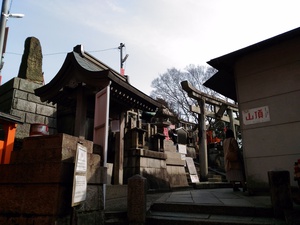 化かし合い? 化かし合い?