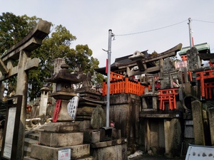 化かし合い? 化かし合い?