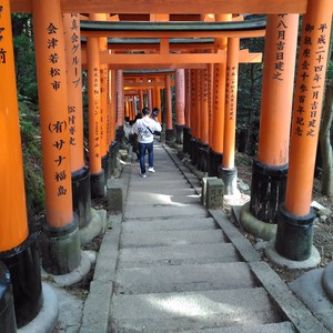 化かし合い? 化かし合い?