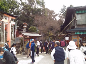 化かし合い? 化かし合い?